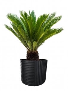 Artclay Gabi black lauko vazonų rinkinys | D55 H50 cm