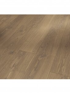 Parador laminatas | Classic 1050 linija | Oak Studioline honey spalva - 1.285 x 194 x 8,00 mm / 32 klasė