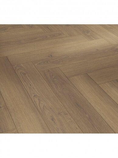 Parador laminatas eglute | Trendtime 3 linija | Oak Studioline honey spalva - 858 x 143 x 8,00 mm / 32 klasė