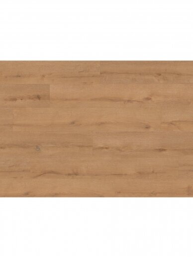 Ter Hurne LVT COMFORT vinilo grindys | Oak Hamburg spalva - 2.200 x 217 x 9.1/0.55 mm / 32 klasė 1