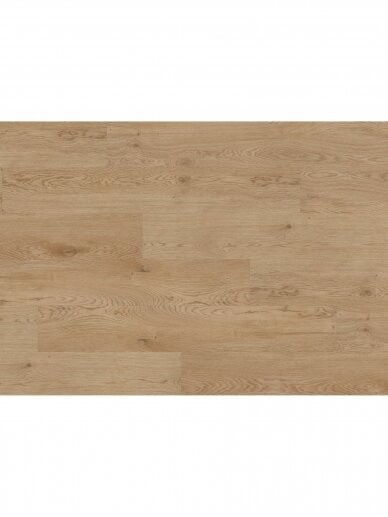 Ter Hurne LVT COMFORT vinilo grindys | Oak Dublin spalva - 2.200 x 217 x 9.1/0.55 mm / 32 klasė 1